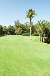 Golf des Dunes
