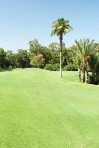 Golf des Dunes
