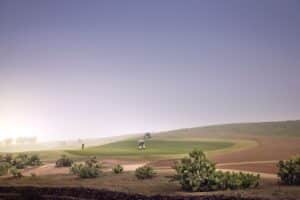 Assoufid Golf Club