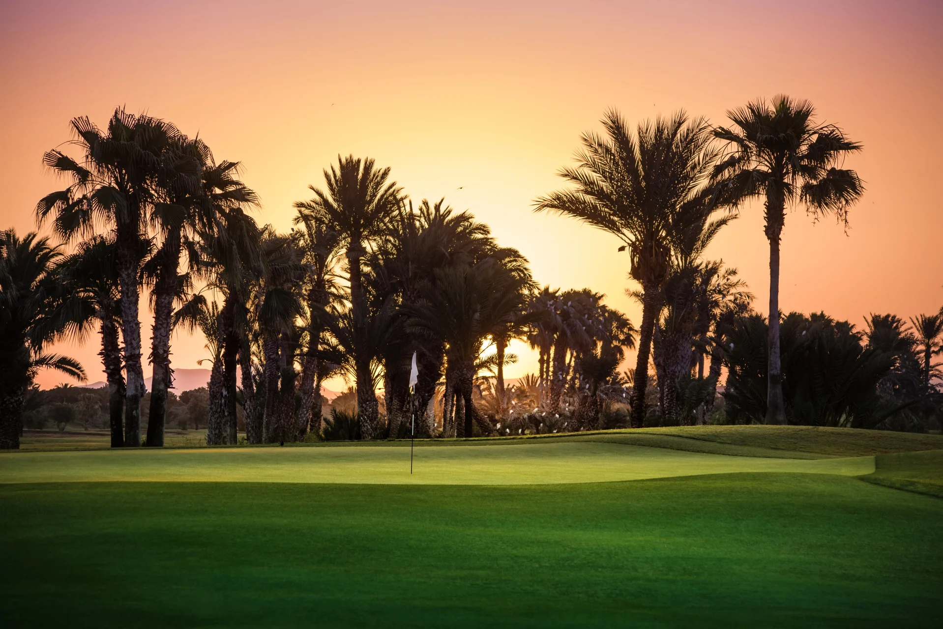 Golf Club Rotana Palmeraie Marrakech Marokko017 Golf Club Rotana Golfreisen