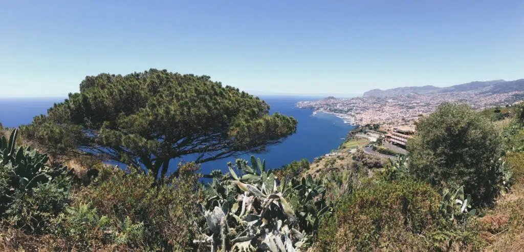 Golfurlaub auf Madeira in Portugal