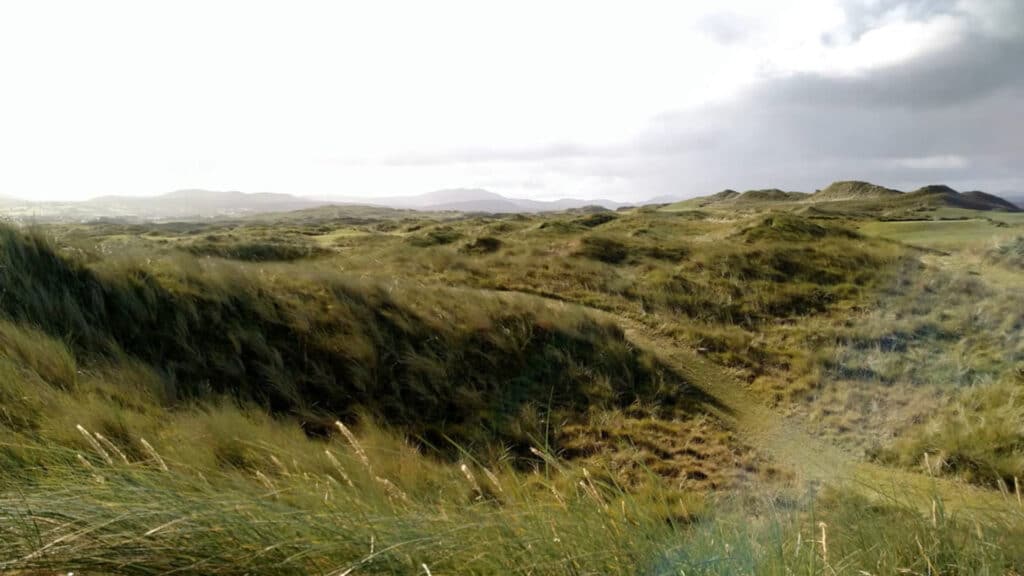 Sandy Hills Links 0004 Irland Golfreisen