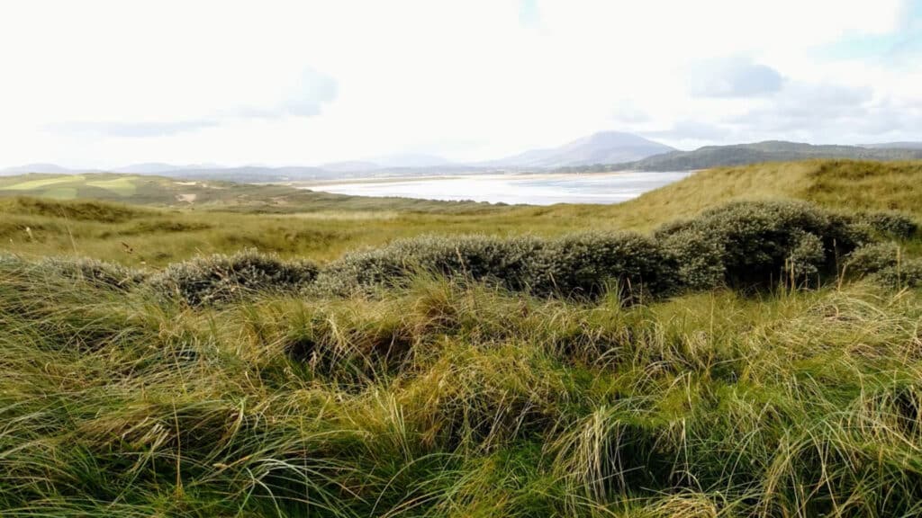 Sandy Hills Links 0012 Irland Golfreisen