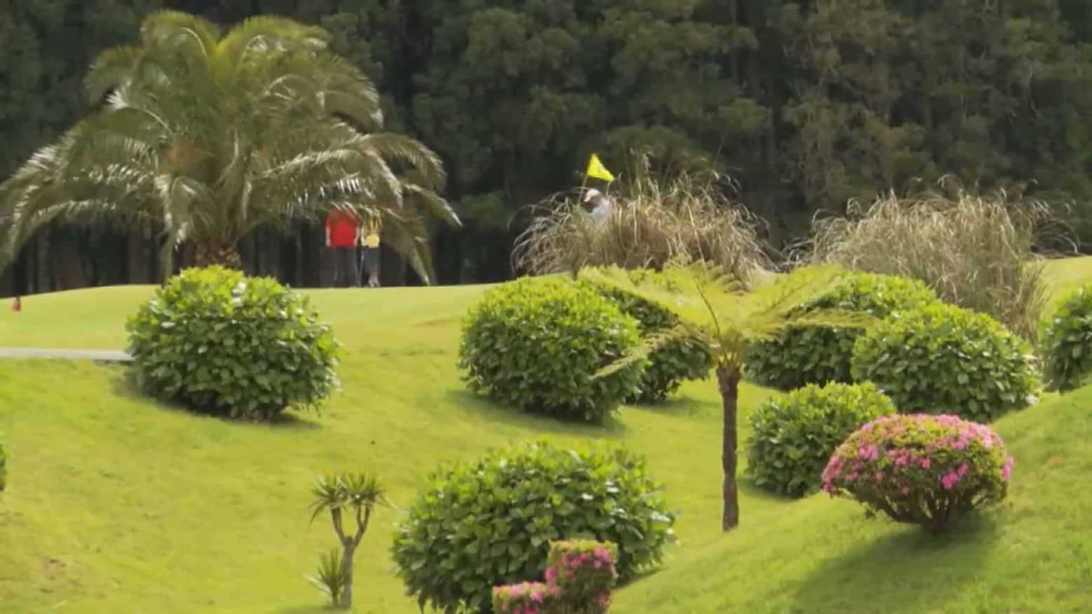 Portugal Golfurlaub: Azoren Azoren Batalha Golfplatz 015 Golfreisen