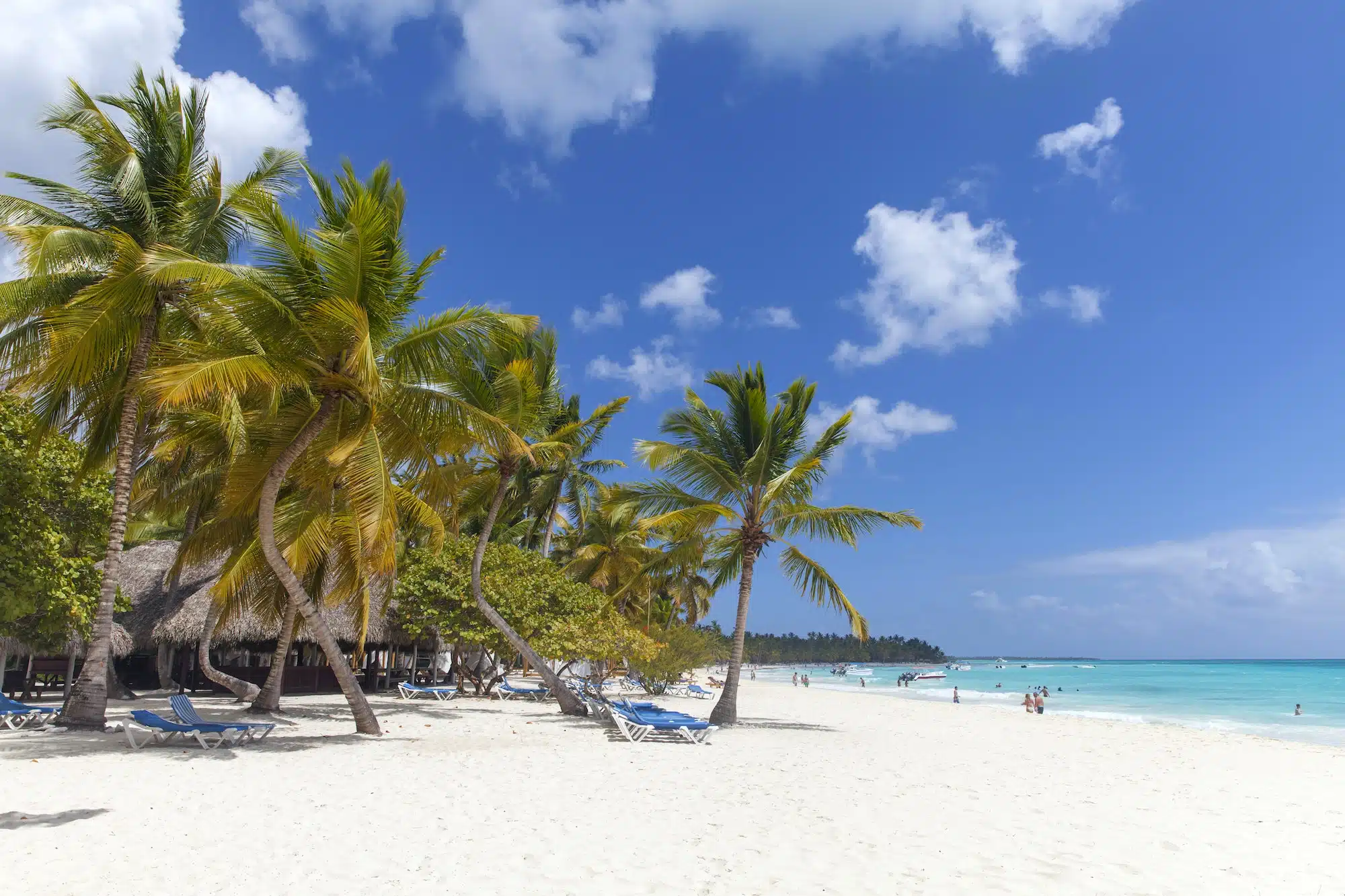 Karibisches Paradies, direkt am Strand mit Palmen. Dominikanische Republik.