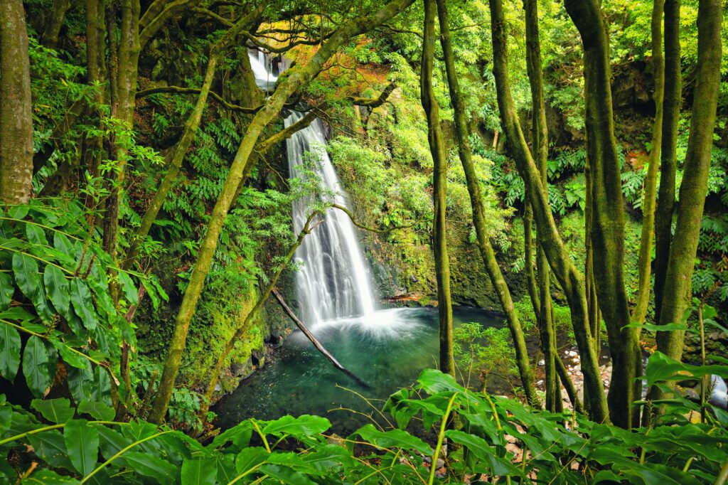 Salto do Prego Wasserfall, Azoren, Portugal