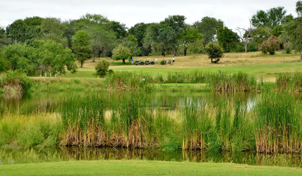 Skukuza Golf Club Suedafrika 014 Afrika Golfreisen