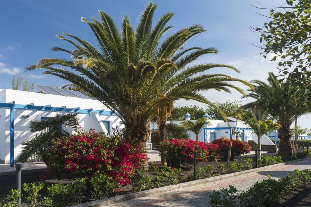 Elba Lanzarote Royal Village Resort, Kanarische Inseln Golfurlaub Lanzarote Royal Village Resort 006 Golfreisen