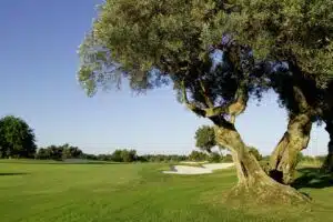 Robinson_Quinta_Da_Ria-029