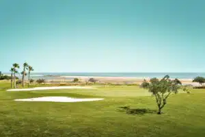 Robinson_Quinta_Da_Ria-030