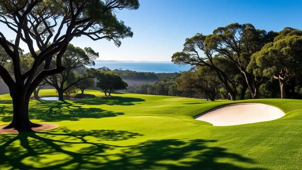 knysna s premier golf destination