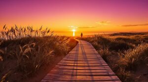 slow burning terras da comporta