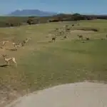 Traumhafte Golfrundreise Südafrika 26.02.26