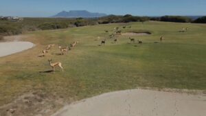 Golfreise Anfrage exklusive Golfreisen 6 Südafrika Golfrundreise mit Global Golf Golfreisen