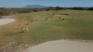 Südafrika Golfrundreise mit Global Golf Golfreisen