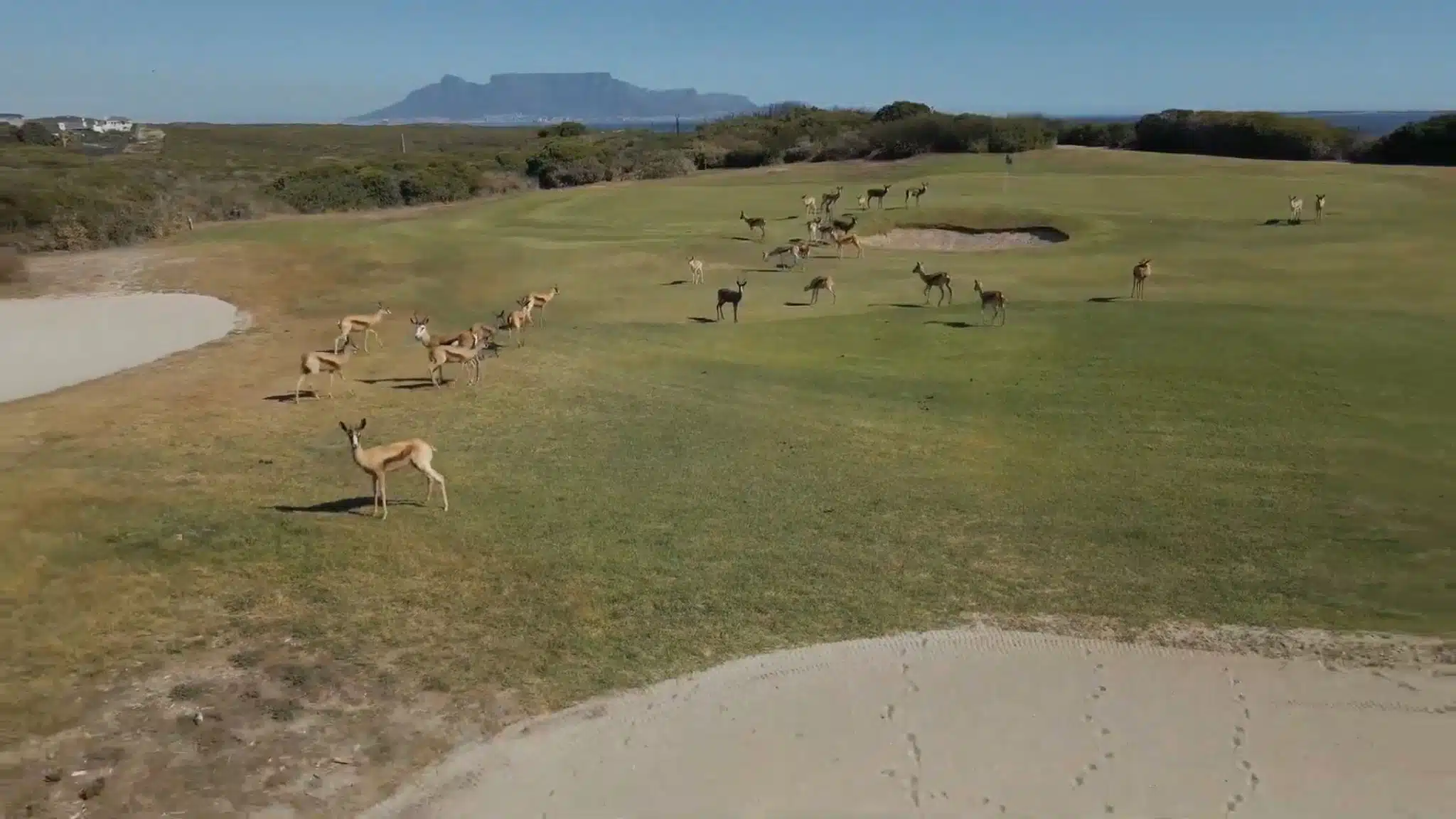 Traumhafte Golfrundreise Südafrika 26.02.26