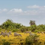 Verlängerung Golfrundreise Südafrika 10.03.2026