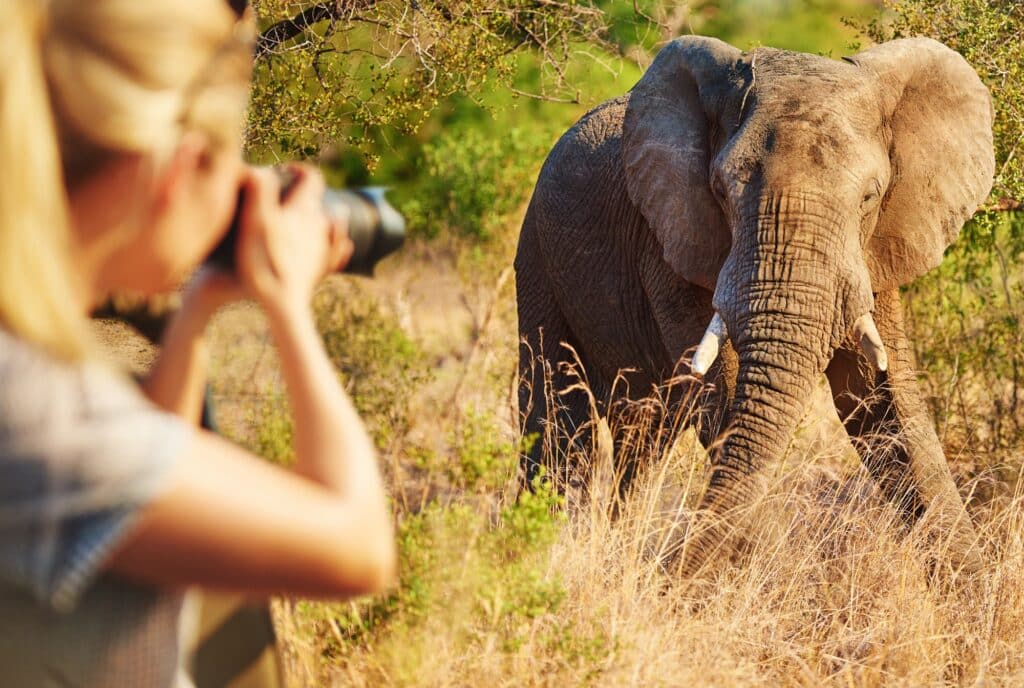 Verlängerung der Golf-Gruppenreise mit Global Golf nach SüdafrikaVerlängerung der Golf-Gruppenreise mit Global Golf nach Südafrika mit Safari
