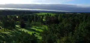 Edzell Golf Club