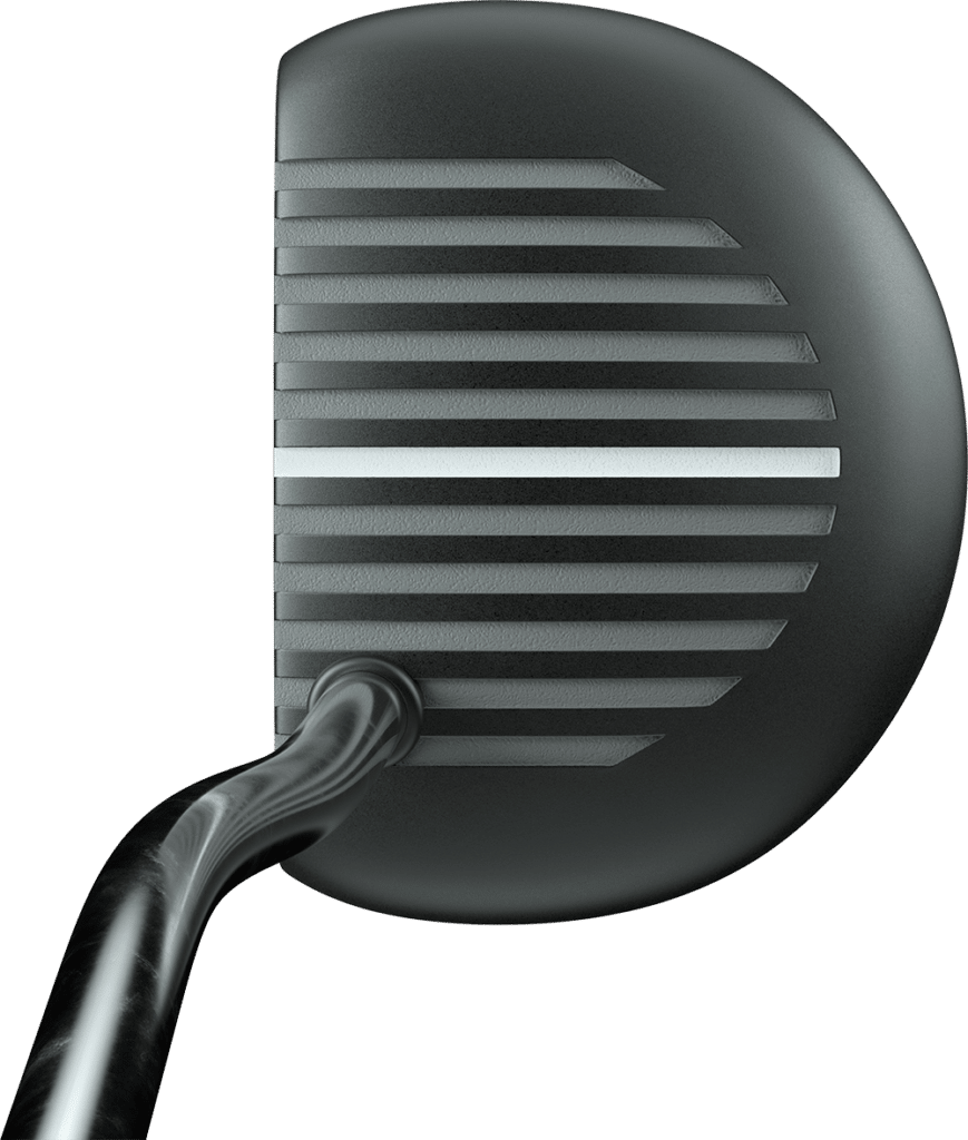 Zebra Putter